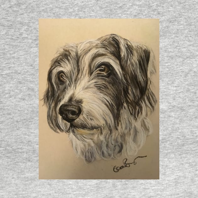 Scruffy grey and white dog by Merlinsmates